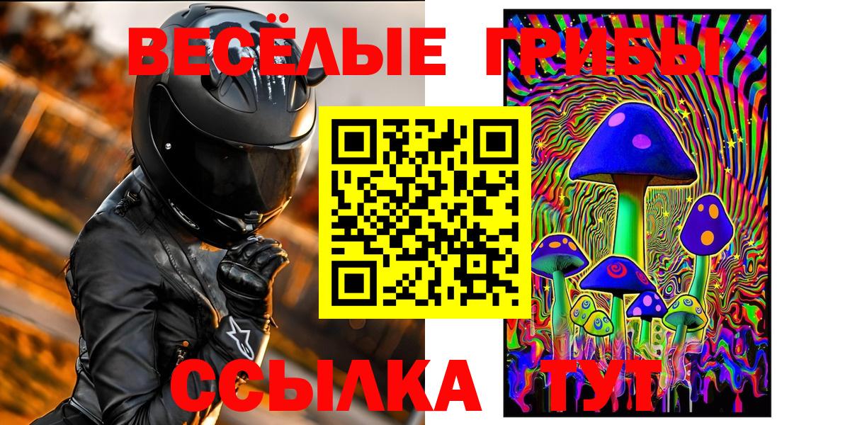 Псилоцибиновые грибы мицелий Ульяновск