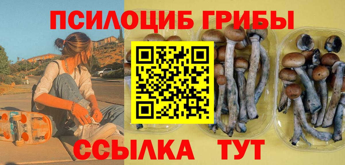Ульяновск  Псилоцибиновые грибы GOLDEN TEACHER  где купить наркоту  Галлюциногенные грибы мицелий  Вход с VPN 